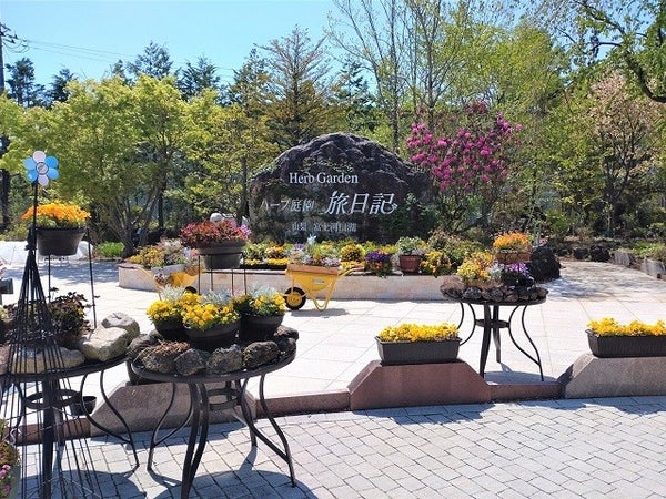 ■【山梨】山梨行くしかナシ!《第3弾》絶景「フジヤマテラス」で贅沢ランチビュッフェ&いちご狩り食べ放題♪ハーブ庭園散策に神秘の湧水「忍野八海」へ!3